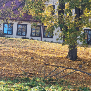 Dignājas muiža no Daugavas puses